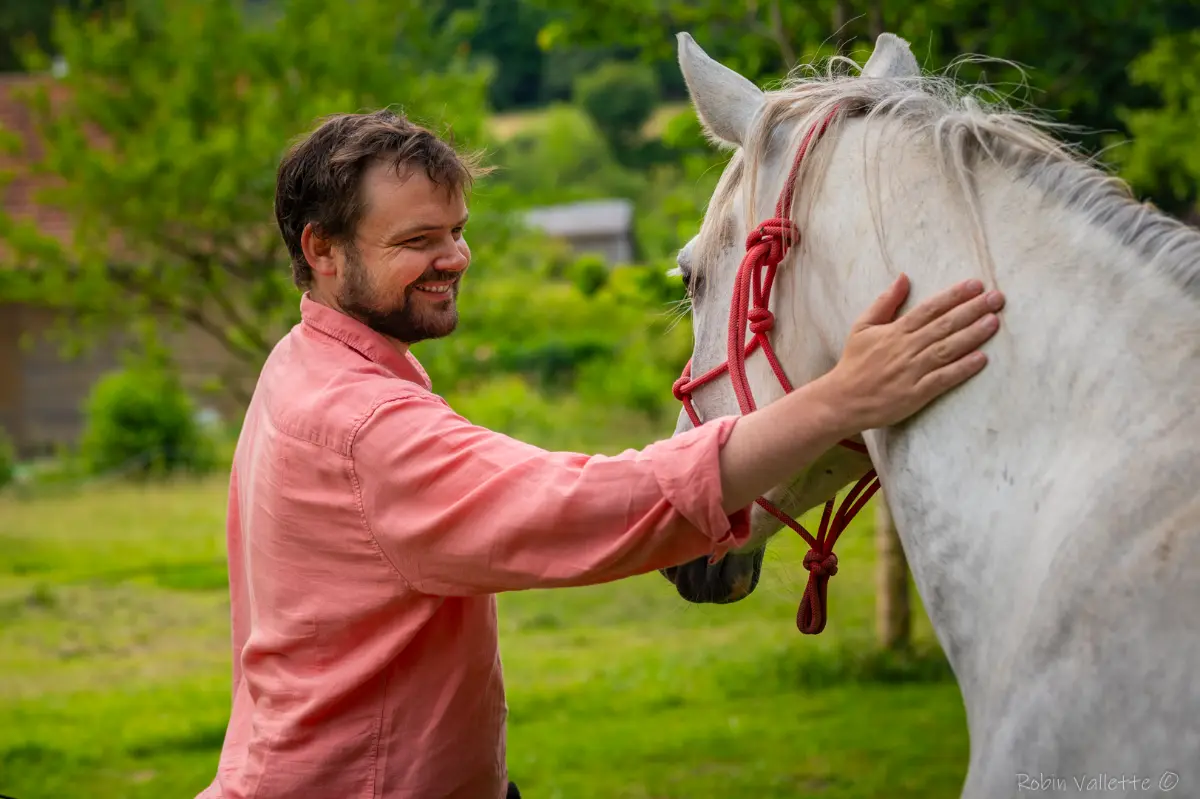 equicoaching Morville-le-Héron — équipe en cercle autour d'un cheval pendant un séminaire