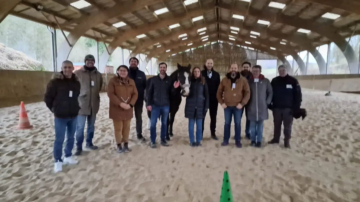 Equicoaching Morville-le-Héron — Homme et cheval face à face
